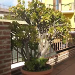 Casa de hóspedes Nina